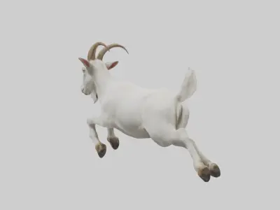 Goat hopping model Low-poly 3D model