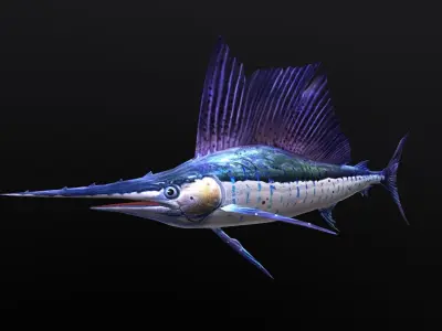 animated sailfish billfish Low-poly 3D model