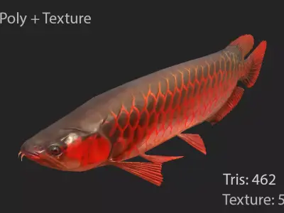 Dragon Fish Low-poly 3D model