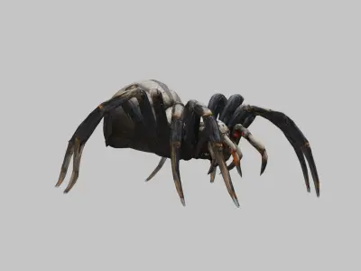 Jumping Spider Low-poly 3D model