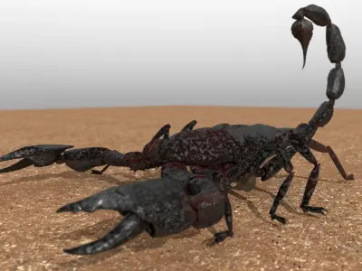 A highly detailed and UV textured 3d model of a scorpion 3D model