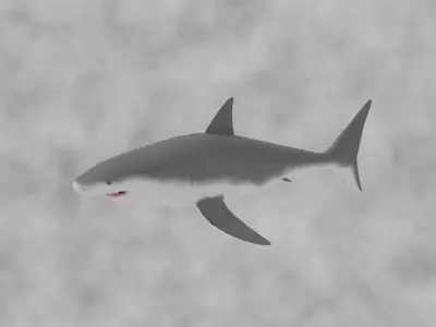 White shark animals low-poly game ready Free low-poly 3D model