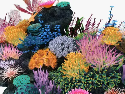 Coral corals and plants on rock 3D model