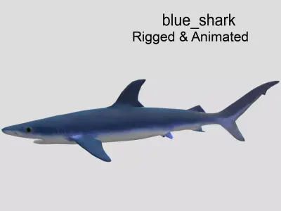 Blue Shark Realistic Animated Low-poly 3D model