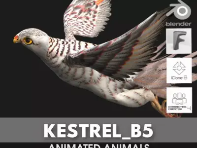 Kestrel B5 3D model
