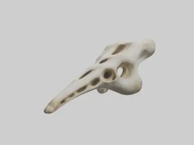Giraffe Vertebrae Low-poly 3D model