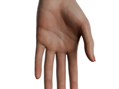 Female Hand Low-poly 3D model