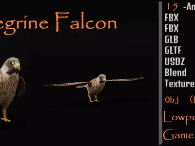 Peregrine Falcon Low-poly 3D model