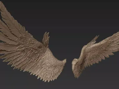 Wings 2 Zbrush Sculpt 3D model