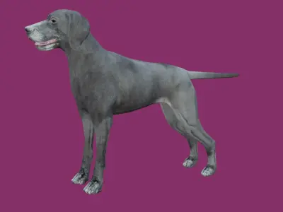 dog lowpoly 3d model 3D model