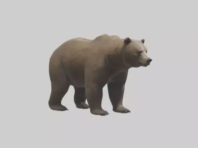 Realistic Bear Model Low-poly 3D model