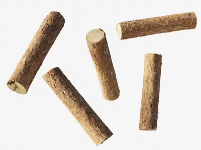 Scanned coniferous firewood Low-poly 3D model