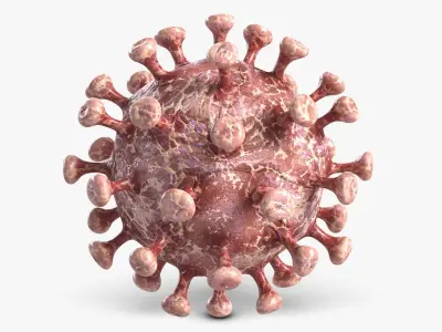 Coronavirus 2 COVID-19 3D model