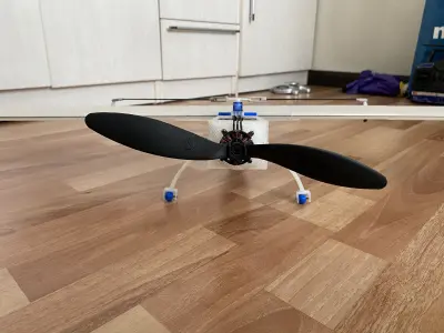 3D Printable RC Plane BowerBird 3D print model