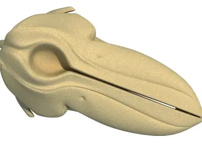 Killer Whale Orca Skull 3D model