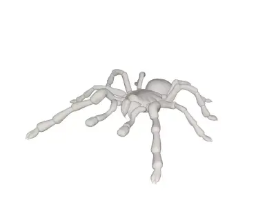Tarantulas spider 3D model
