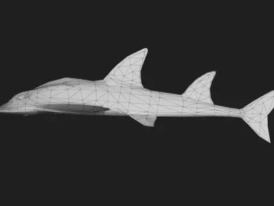 Skate Low-poly 3D model