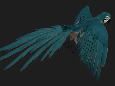 Parrot A12 3D model