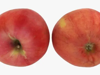 Red Apple Set 3D model