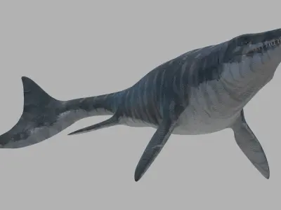 Mosasaurus Hoffmanni Historically Accurate 3D model