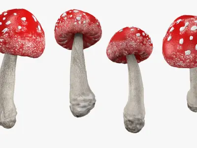 Mushroom Set 3D model