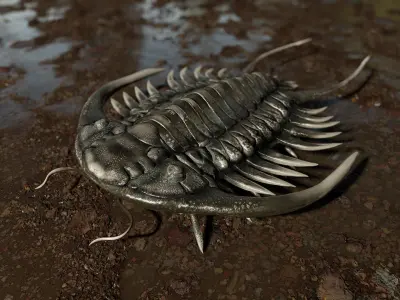 Trilobite 03 - PARACERAURUS EXSUL Low-poly 3D model