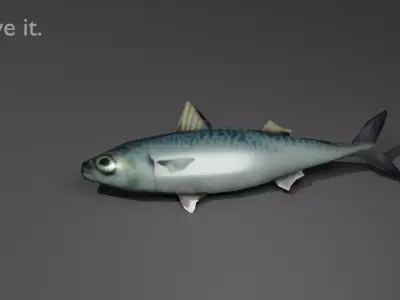 Fish Mackerel seafood Free low-poly 3D model