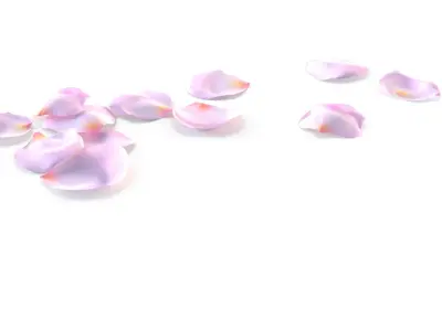 Realistic Rose Petals 3D Model - Ultra-High Quality 4K PBR Asset 3D model
