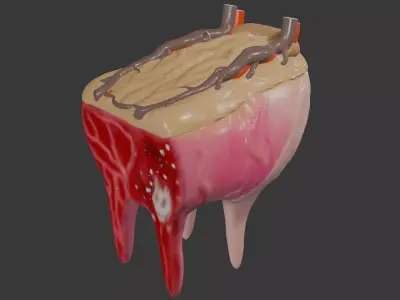 Cow udder 3D model