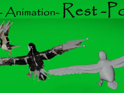 Atlantic Puffin Seabird Low-poly 3D model