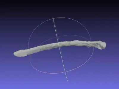 Psittacosaurus Right Dorsal Rib 2 Free 3D print model