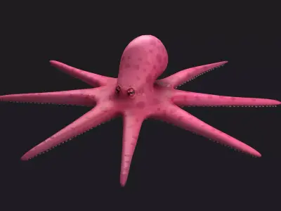 Octopus Cartoon fish underwater water nature sea ocean 3D model