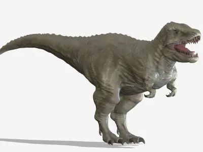  Tyrannosaurus 02 Low Poly PBR Realistic Low-poly 3D model