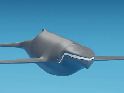 Cartoon Whale 3D model
