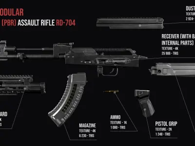 Modular assault rifle Rifle Dynamics 704 AK system Low-poly 3D model
