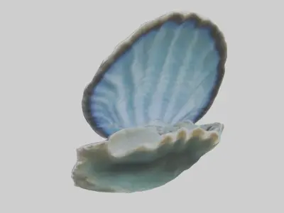 Giant Clam resting on reef model Low-poly 3D model