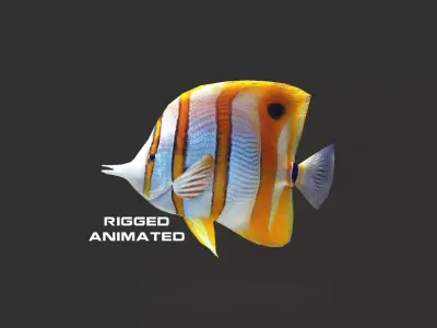 Low-Poly Butterflyfish Animated Low-poly 3D model