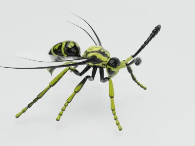  Wasp insect nature 3D model