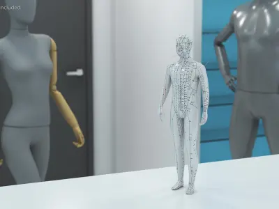 Male Acupuncture Anatomy Chart with Needles 3D model