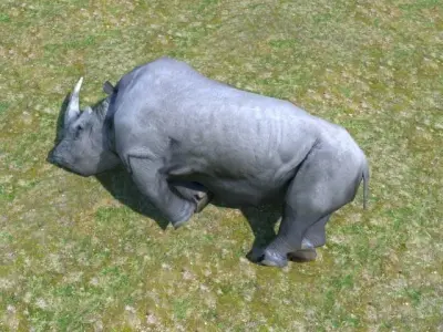 African Rhino Low-poly 3D model