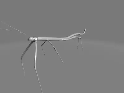 Phryganistria praying mantis 3D model