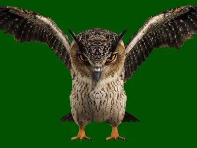 OWL RIGGED ANIMATED 7 Low-poly 3D model