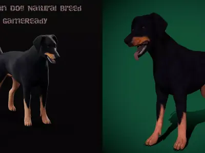 Doberman Dog Natural Breed Free low-poly 3D model