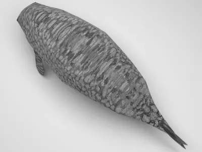 Sea Cow 3D model