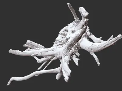 3d scan tree root in highpoly 3D model