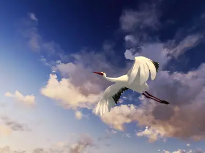 Stork animation Low-poly 3D model