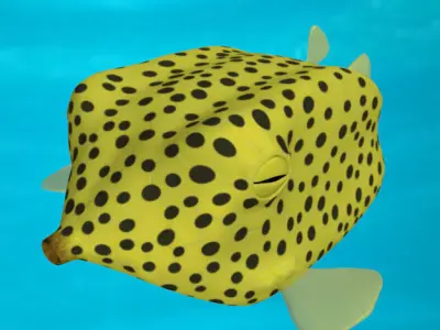 Boxfish yellow low poly Low-poly 3D model