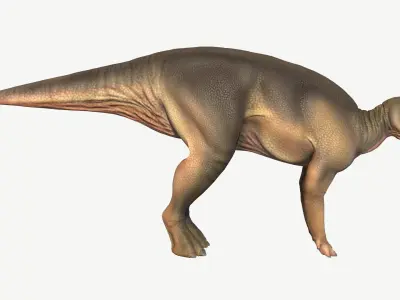 Protohadros dinosaur Low-poly 3D model