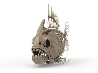 Piranha fish skeleton 3D model