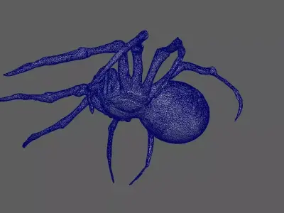Spider  3D model